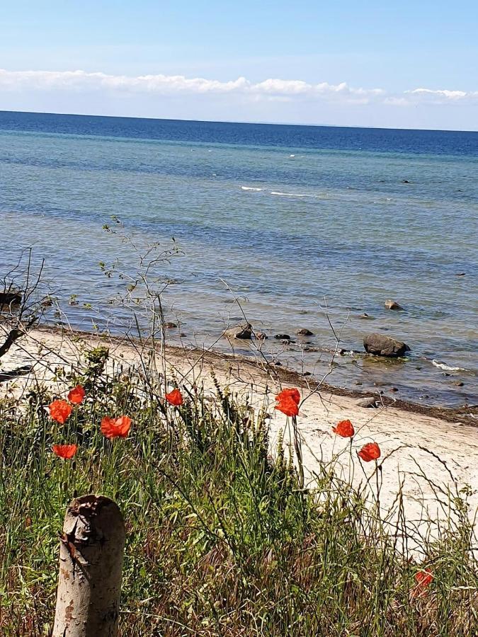 Ferienwohnung Storchenblick Zurow Esterno foto